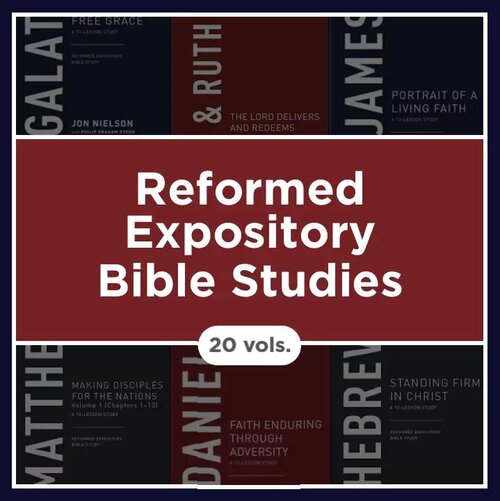 Reformed Expository Bible Studies (20 vols.)