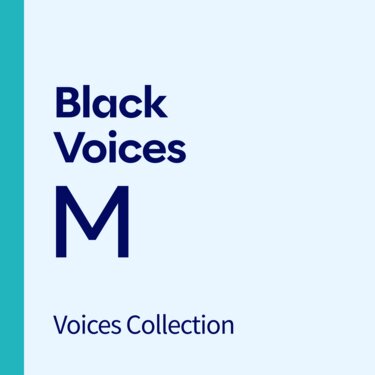 Man on desktop computer