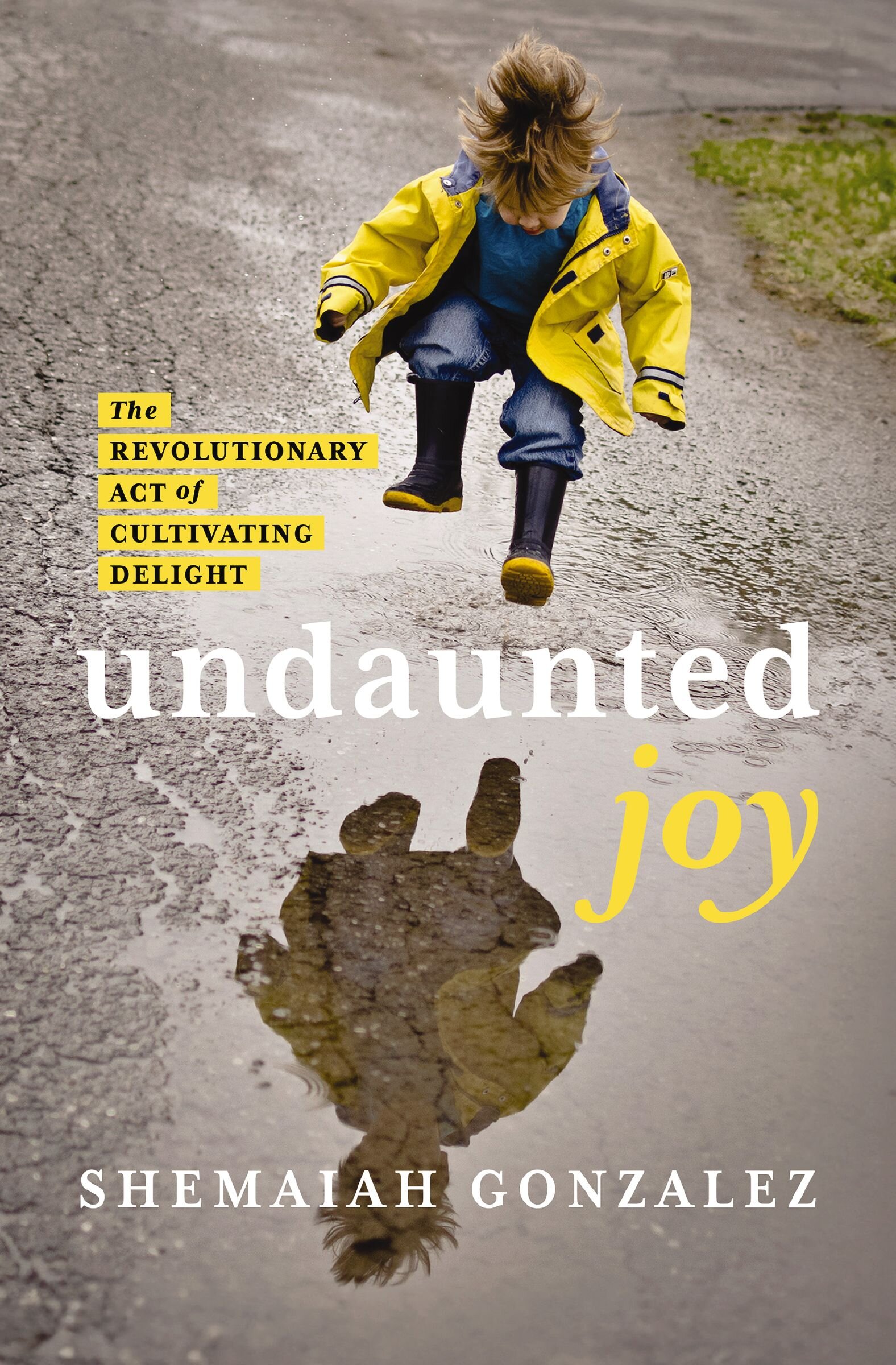 Undaunted Joy: The Revolutionary Act of Cultivating Delight | Logos ...