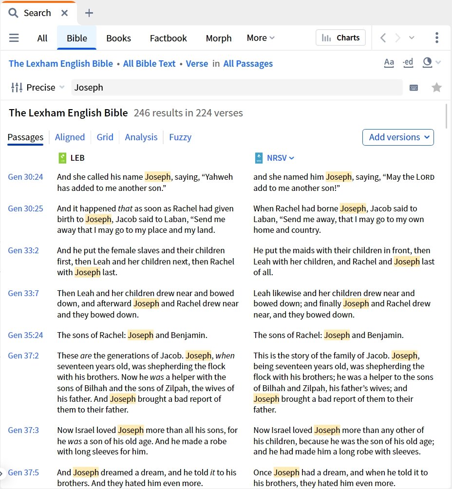 Bible Search - Display Additional Version