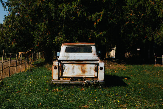 A rusty old truck in a pumpkin patch