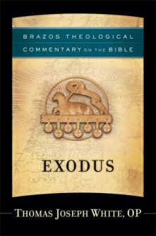 Exodus (Brazos Theological Commentary on the Bible | BTC)