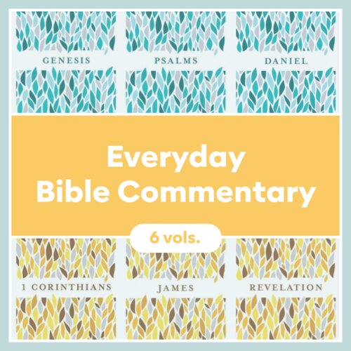 Everyday Bible Commentary (6 vols.)