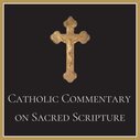 Catholic Commentary on Sacred Scripture: Old and New Testament (21 vols.)
