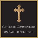 Catholic Commentary on Sacred Scripture: Old and New Testament (21 vols.)