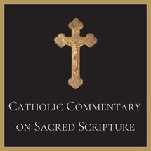 Catholic Commentary on Sacred Scripture: Old and New Testament (20 vols.)