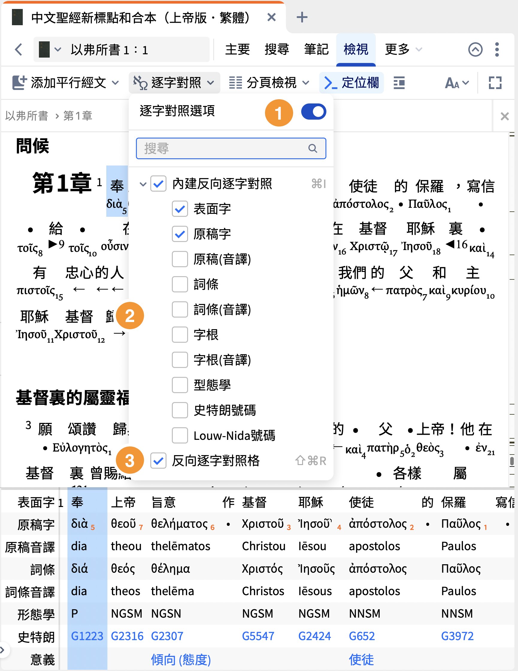 Bible Reverse Interlinear Options