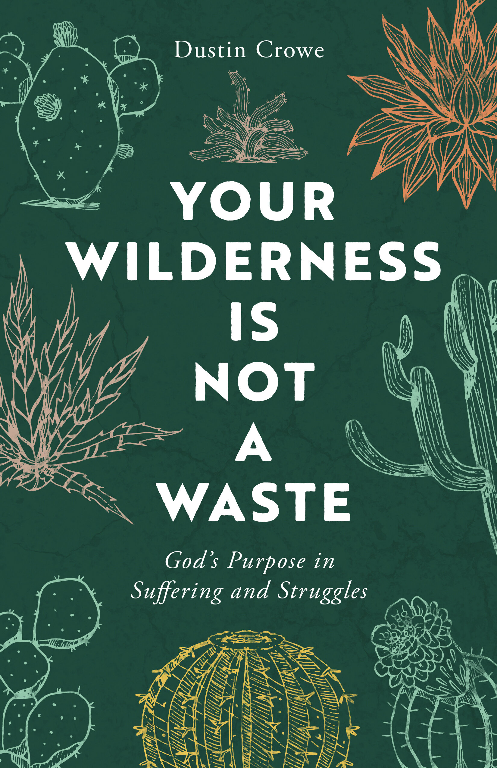 Your Wilderness Is Not a Waste: God's Purpose in Suffering and Struggles