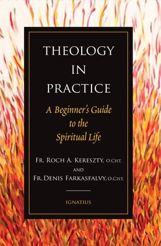 Theology in Practice: A Beginner’s Guide to the Spiritual Life
