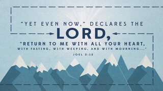 Joel 212 [Widescreen]