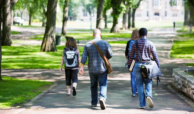 College or University