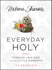 Everyday Holy: Finding a Big God in the Little Moments (A 100-Day Devotional)