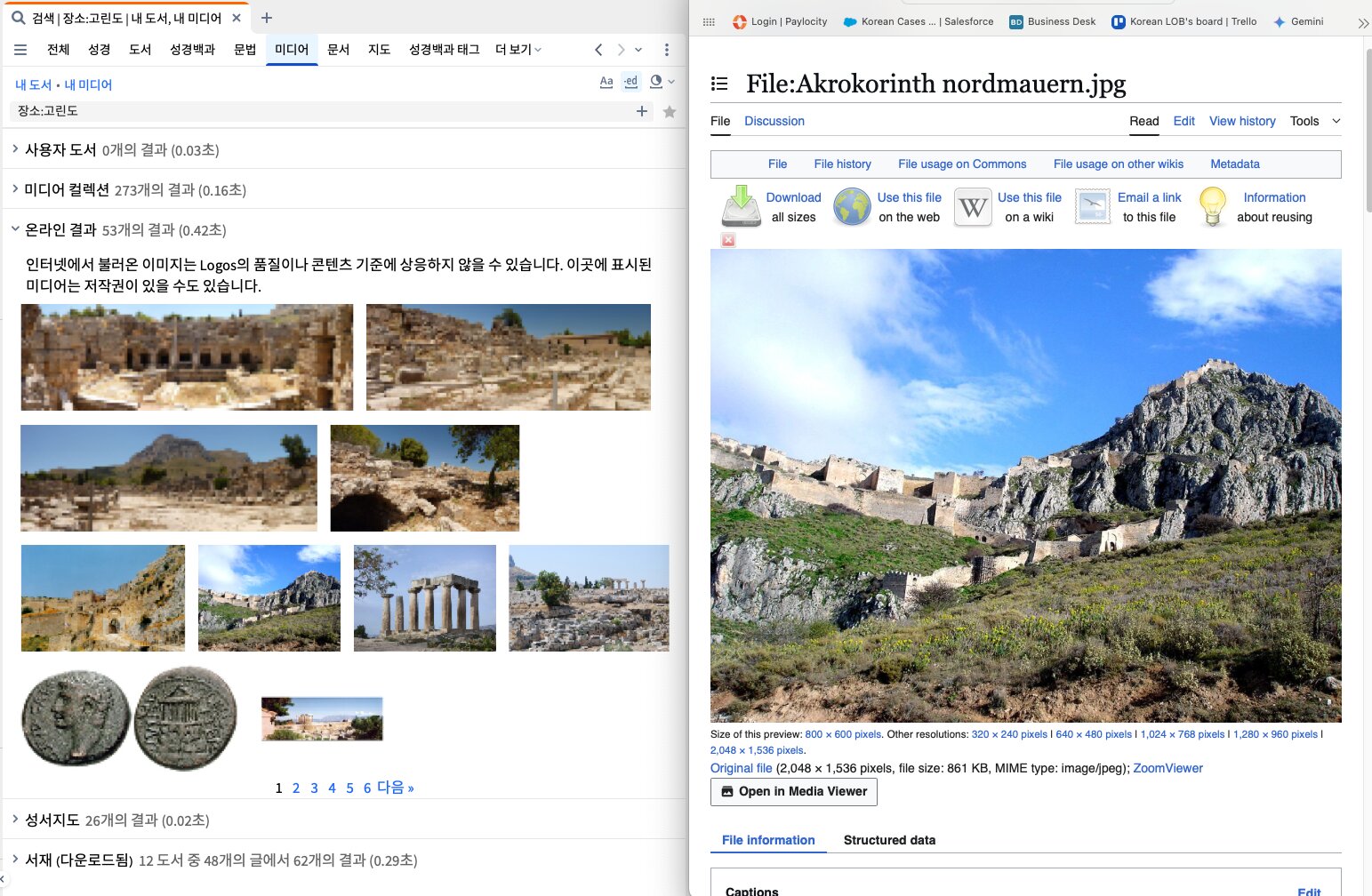 Media Search Online Results
