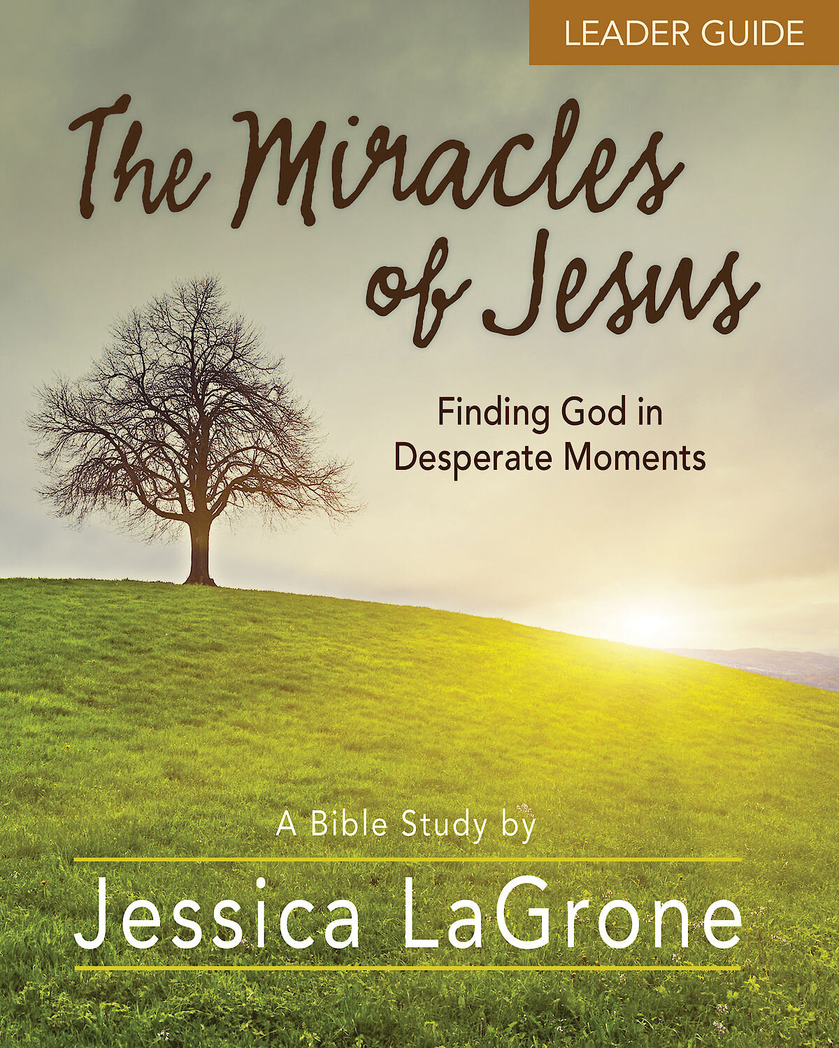 The Miracles of Jesus - Women's Bible Study Leader Guide: Finding God in Desperate Moments