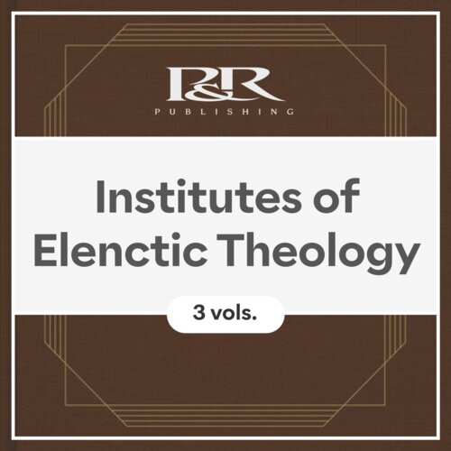 Institutes of Elenctic Theology (3 vols.)