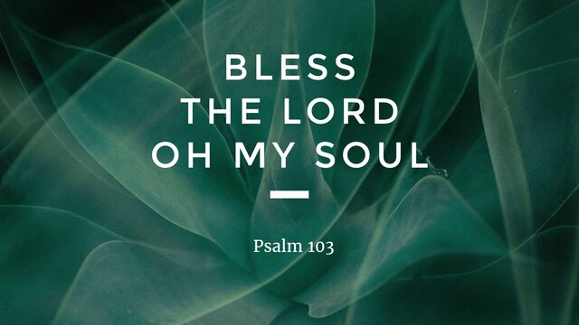 Bless The Lord