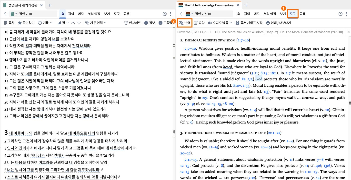 Select the Tools tab and click Translate
