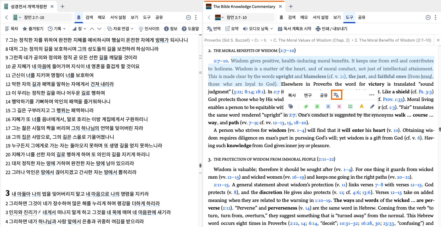 Select text and click the Translate icon from the Selection Menu