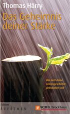 Das Geheimnis deiner Stärke: Wie Gott deine Lebensgeschichte gebrauchen will