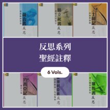 反思系列聖經註釋（6本）