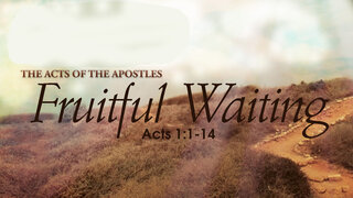 Acts