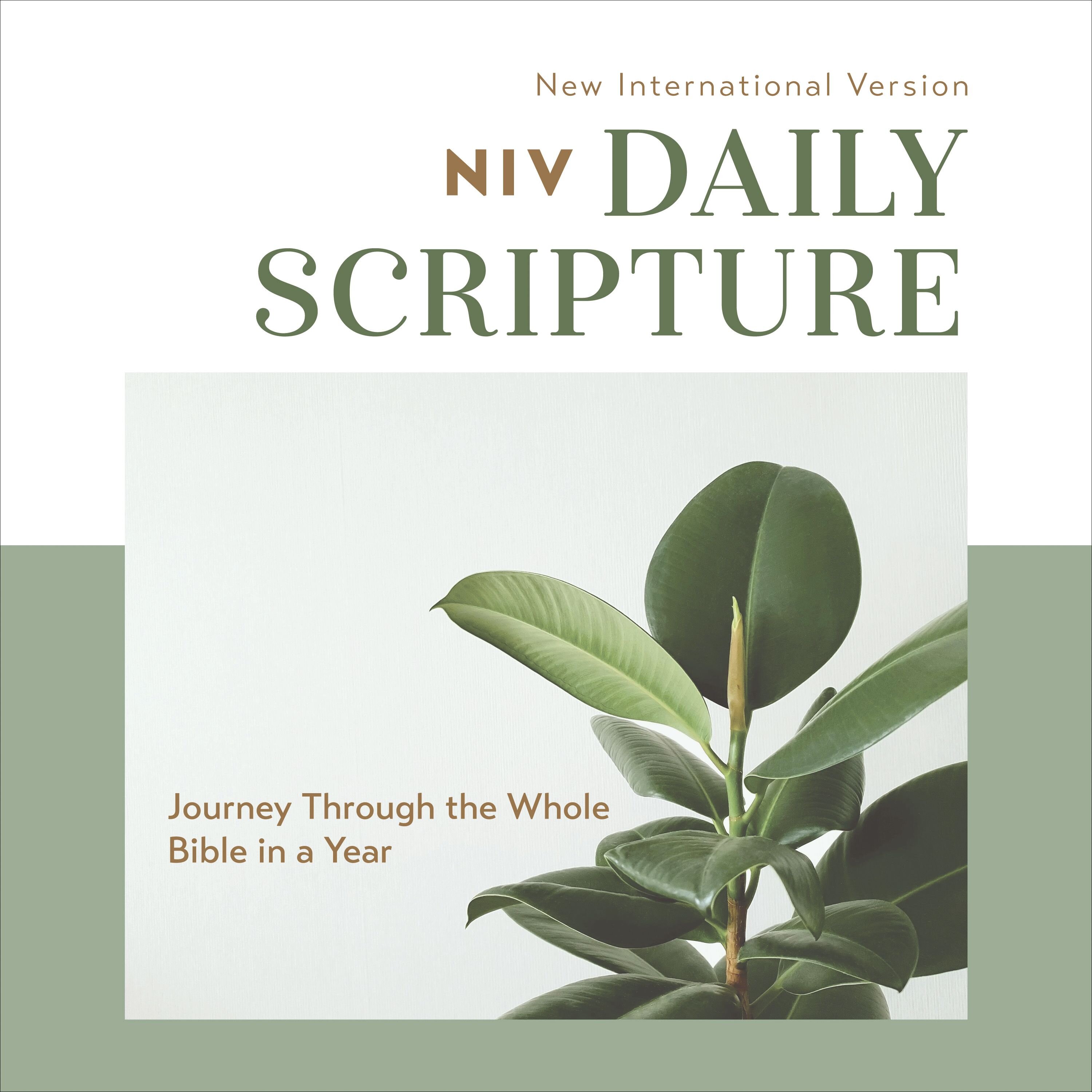 Daily Scripture Audio Bible—-New International Version, NIV: Complete Bible: Journey Through the Whole Bible in a Year (Audio)