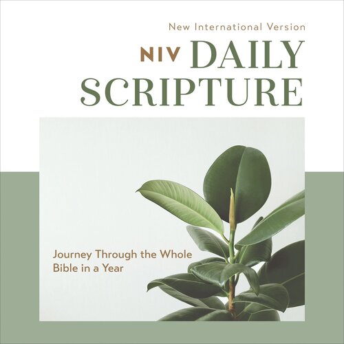 Daily Scripture Audio Bible—-New International Version, NIV: Complete Bible: Journey Through the Whole Bible in a Year (Audio)