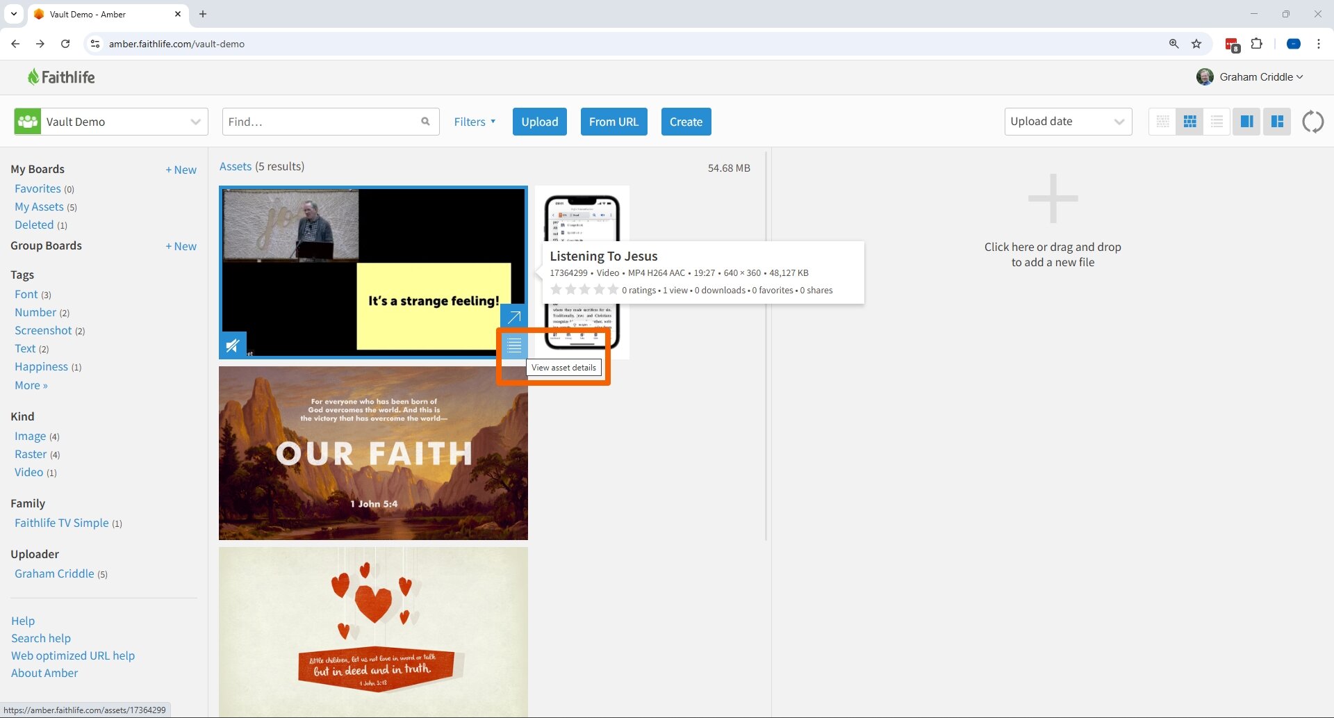 View Video Asset Details