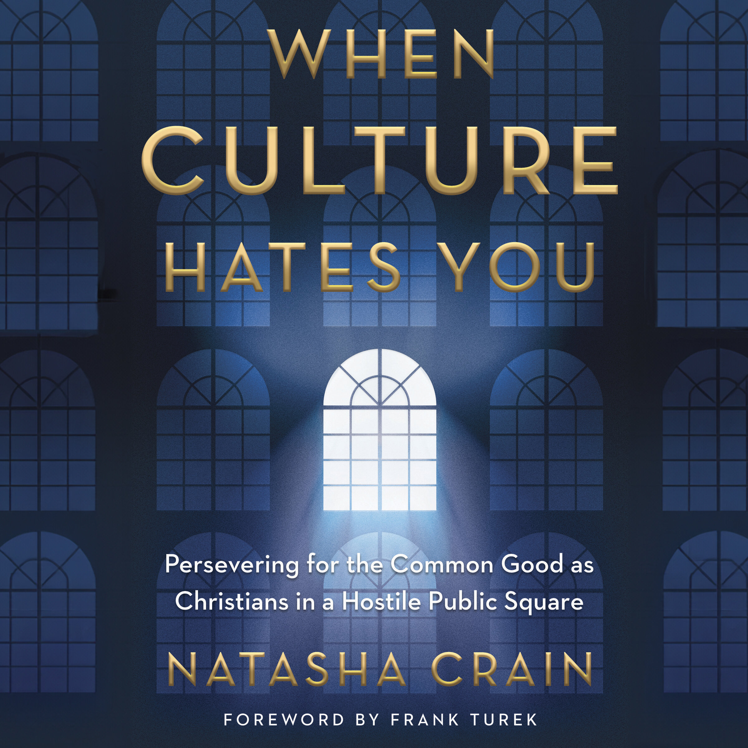 When Culture Hates You: Persevering for the Common Good as Christians in a Hostile Public Square (Audio)