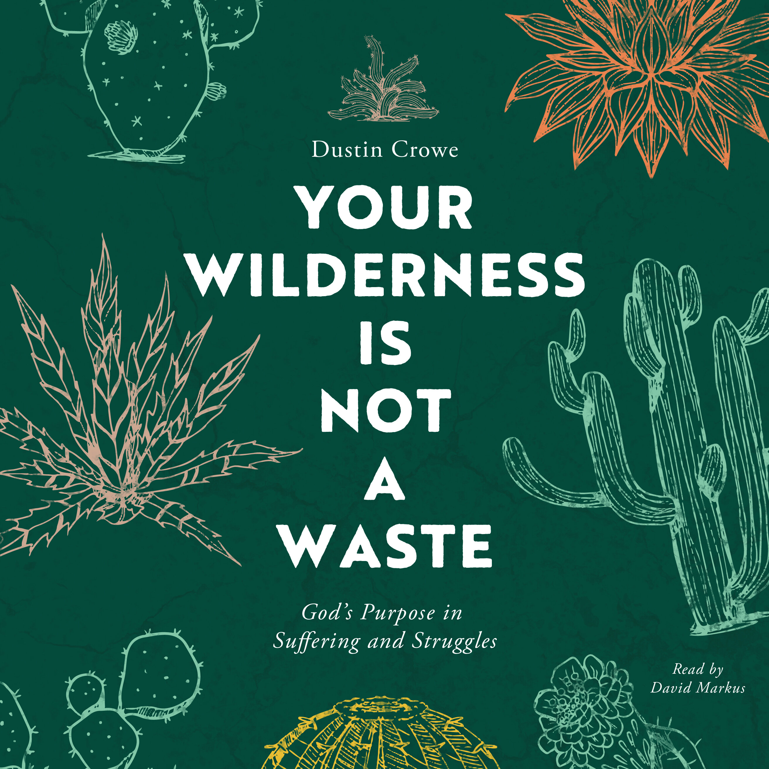 Your Wilderness Is Not a Waste: God's Purpose in Suffering and Struggles (Audio)