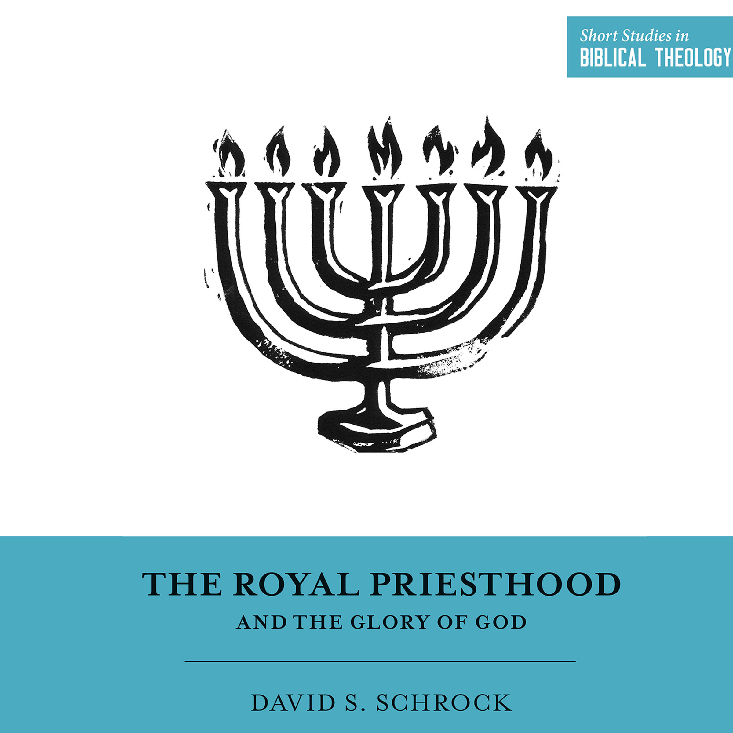 The Royal Priesthood and the Glory of God: Short Studies in Biblical Theology (Audio)