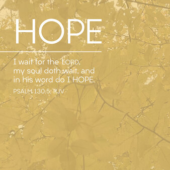 Hope 27703Ac