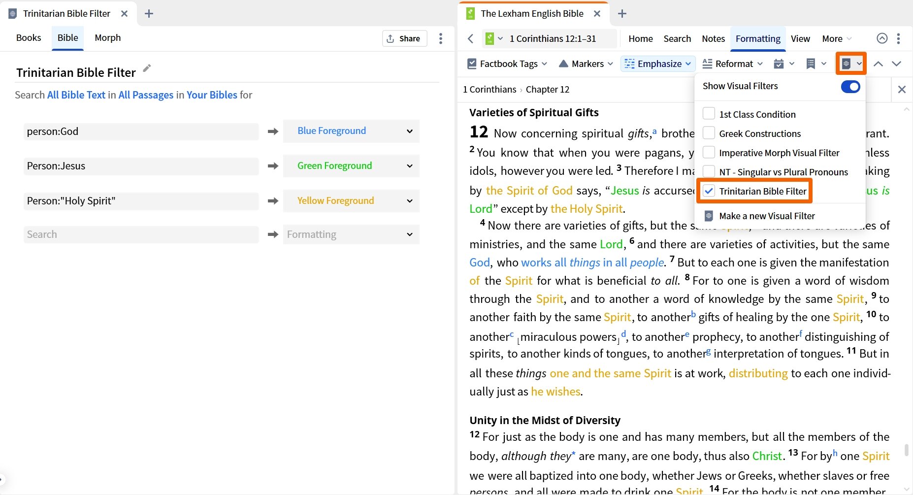 Show Bible Visual Filter