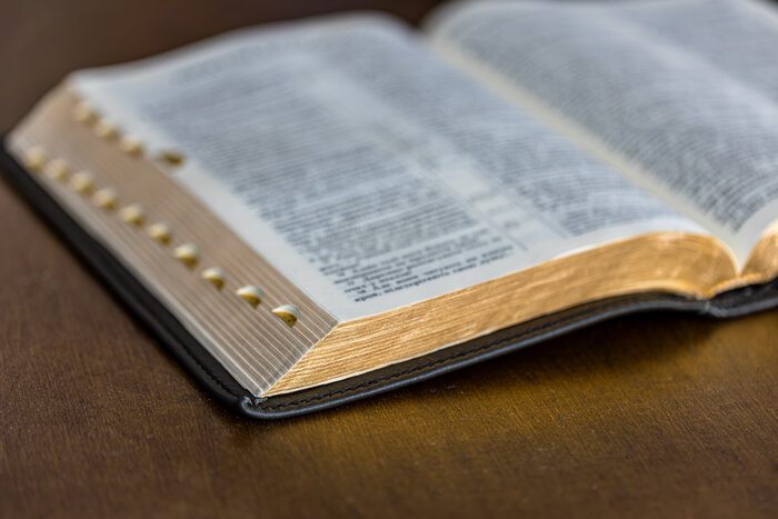 성경 각 권의 주제에 대한 “최신” 연구들을 반영