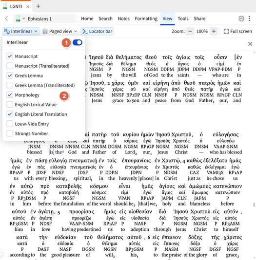 Getting started with Interlinear views