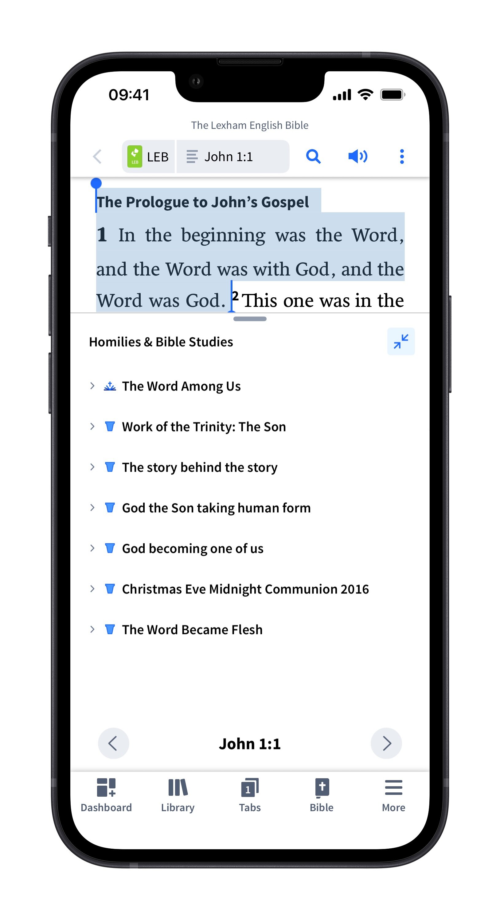 Homilies And Bible Studies Expanded