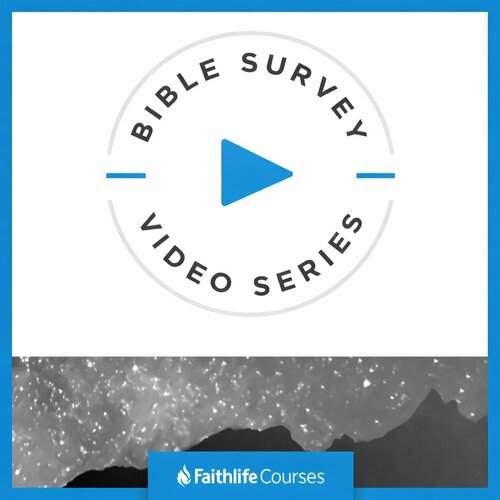 Bible Survey Video Series (18 vols.)