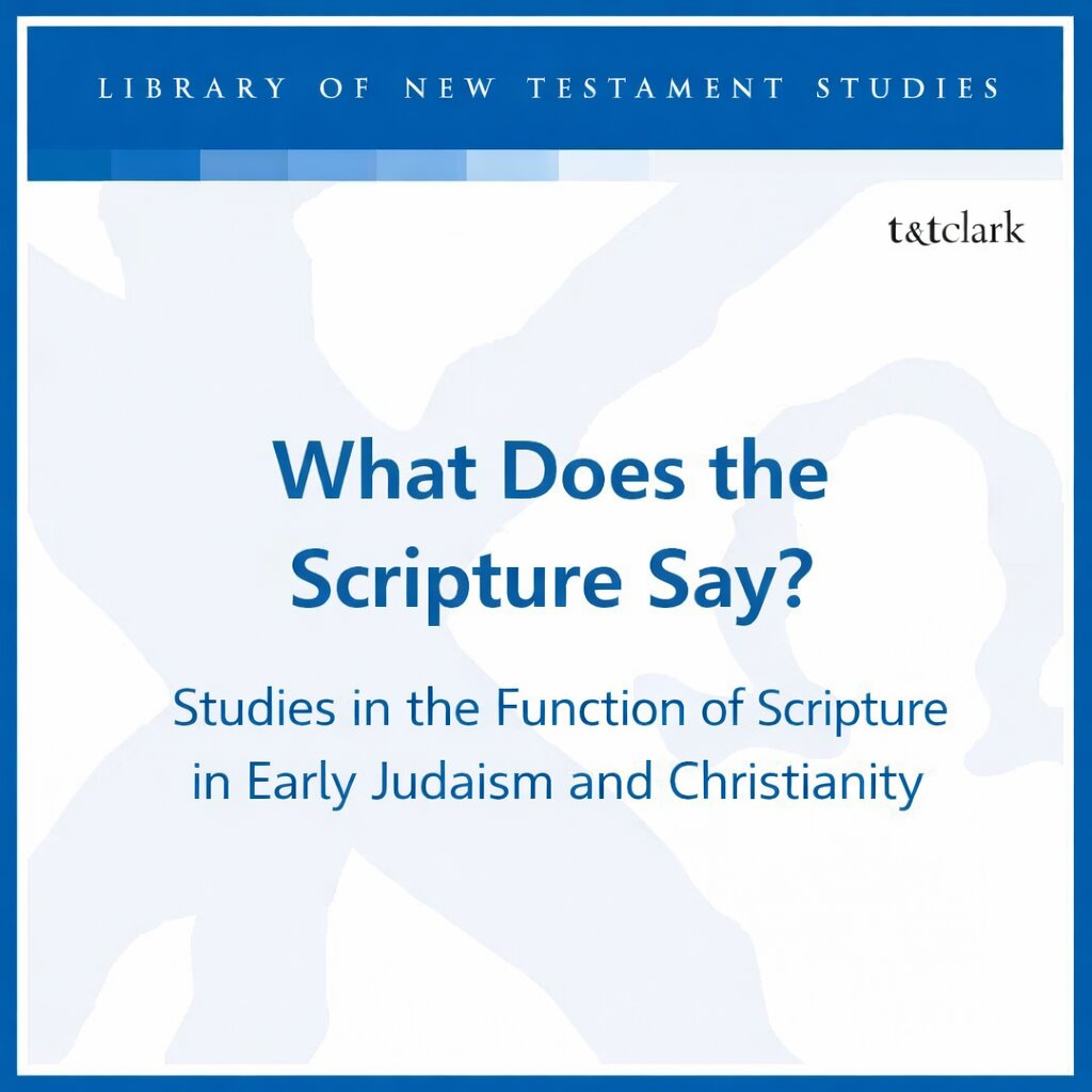 ‘What Does the Scripture Say?’ Studies in the Function of Scripture in ...
