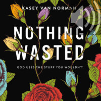 Nothing Wasted: God Uses the Stuff You Wouldn’t (Audio)