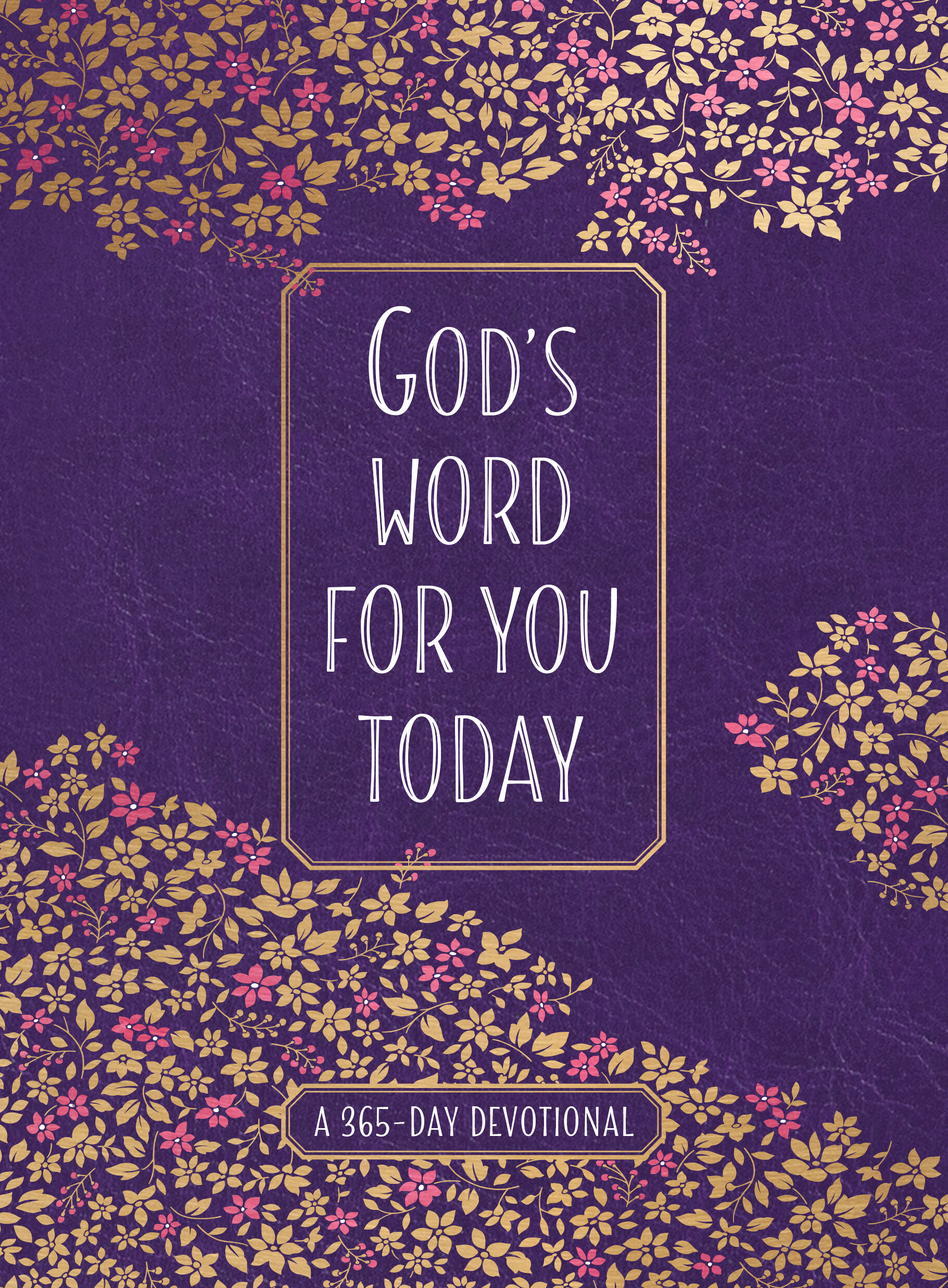 God’s Word for You Today: A 365-Day Devotional