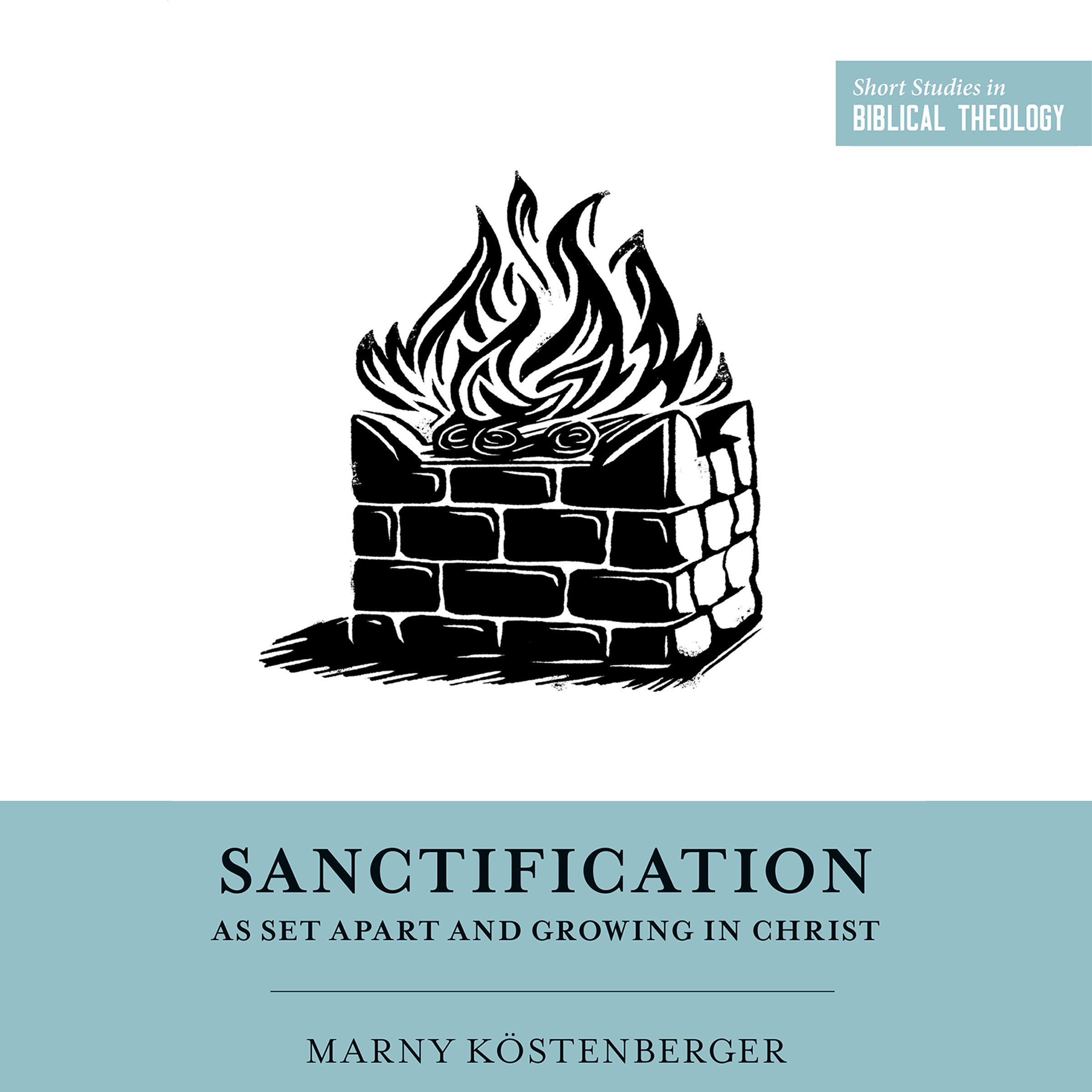 Sanctification as Set Apart and Growing in Christ: Short Studies in Biblical Theology (Audio)