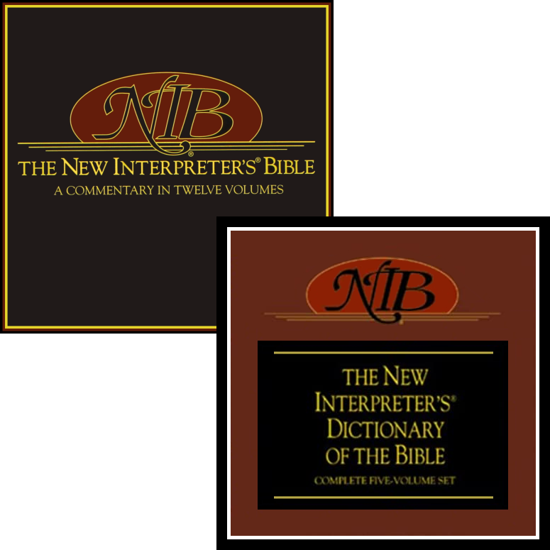 NIB Collection: Commentary and Dictionary (17 vols.)