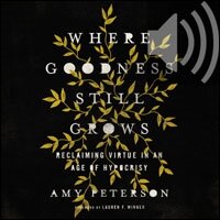 Where Goodness Still Grows: Reclaiming Virtue in an Age of Hypocrisy (Audio)
