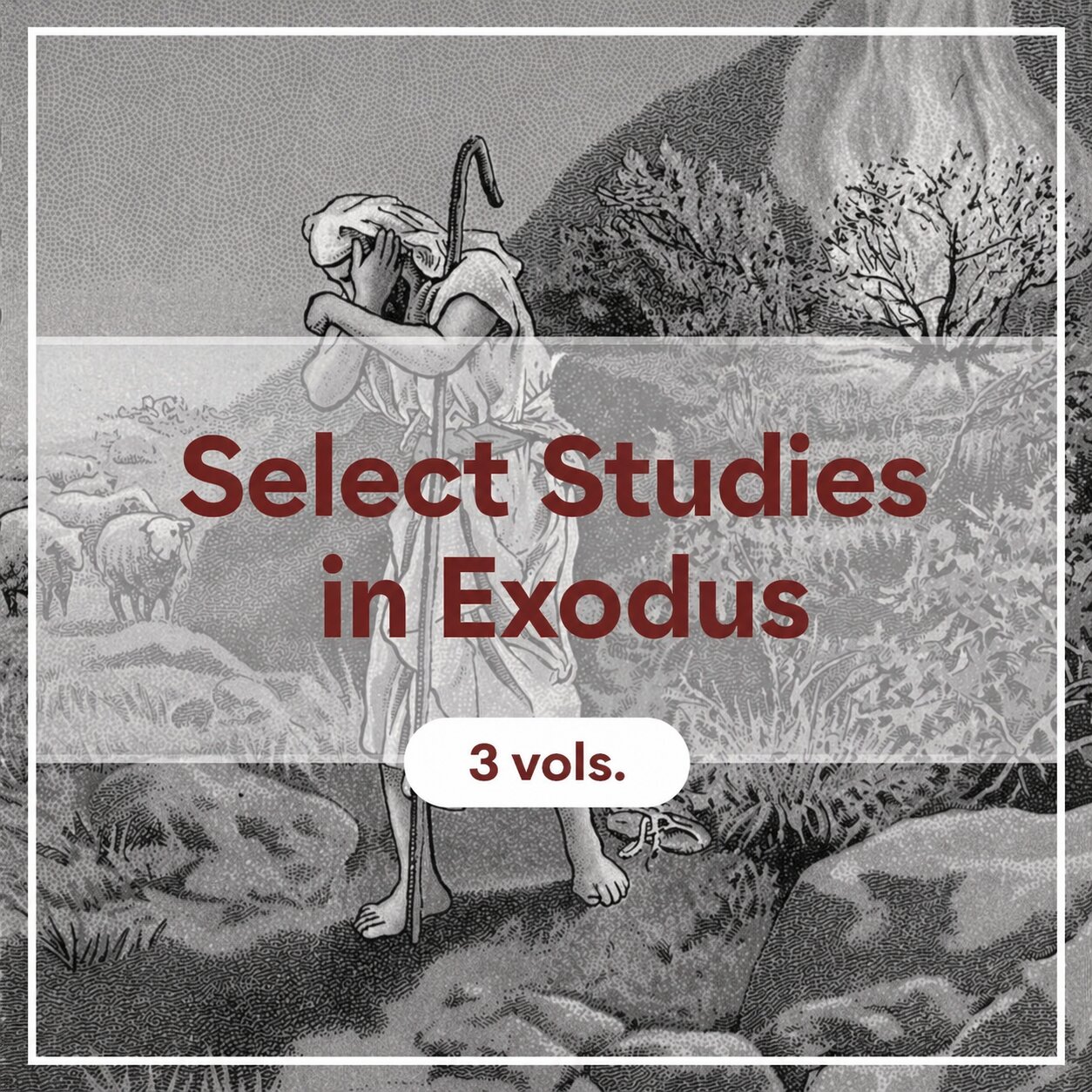 Select Studies in Exodus (3 vols.)