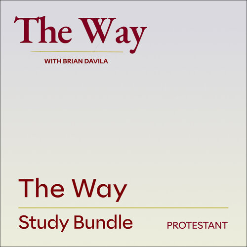 The Way Study Bundle: Protestant