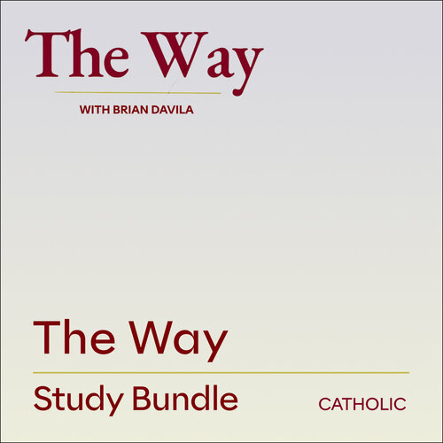 The Way Study Bundle: Catholic