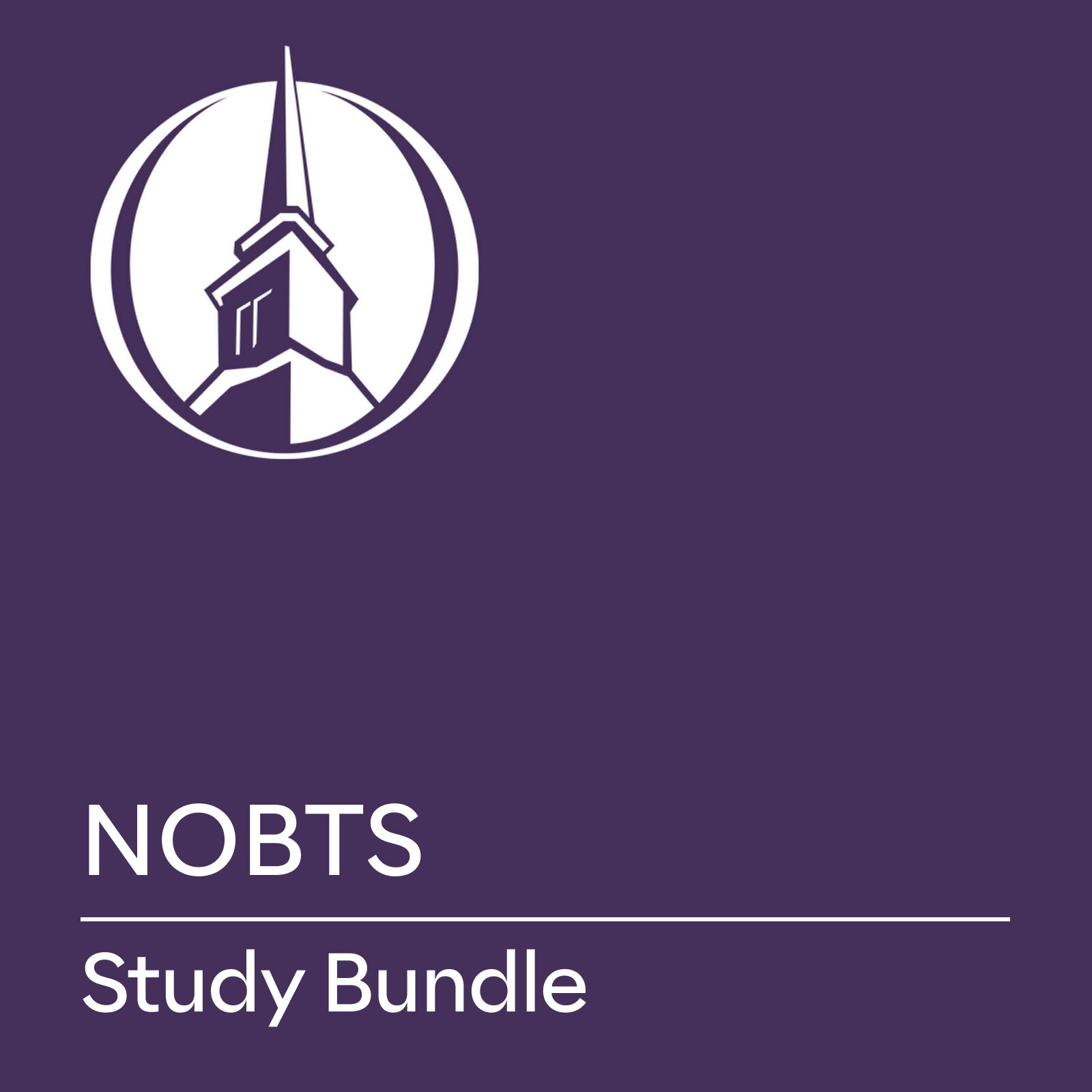 New Orleans Baptist Theological Seminary Study Bundle (2/2)