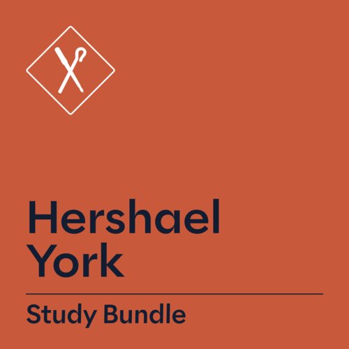 Hershael York Study Bundle