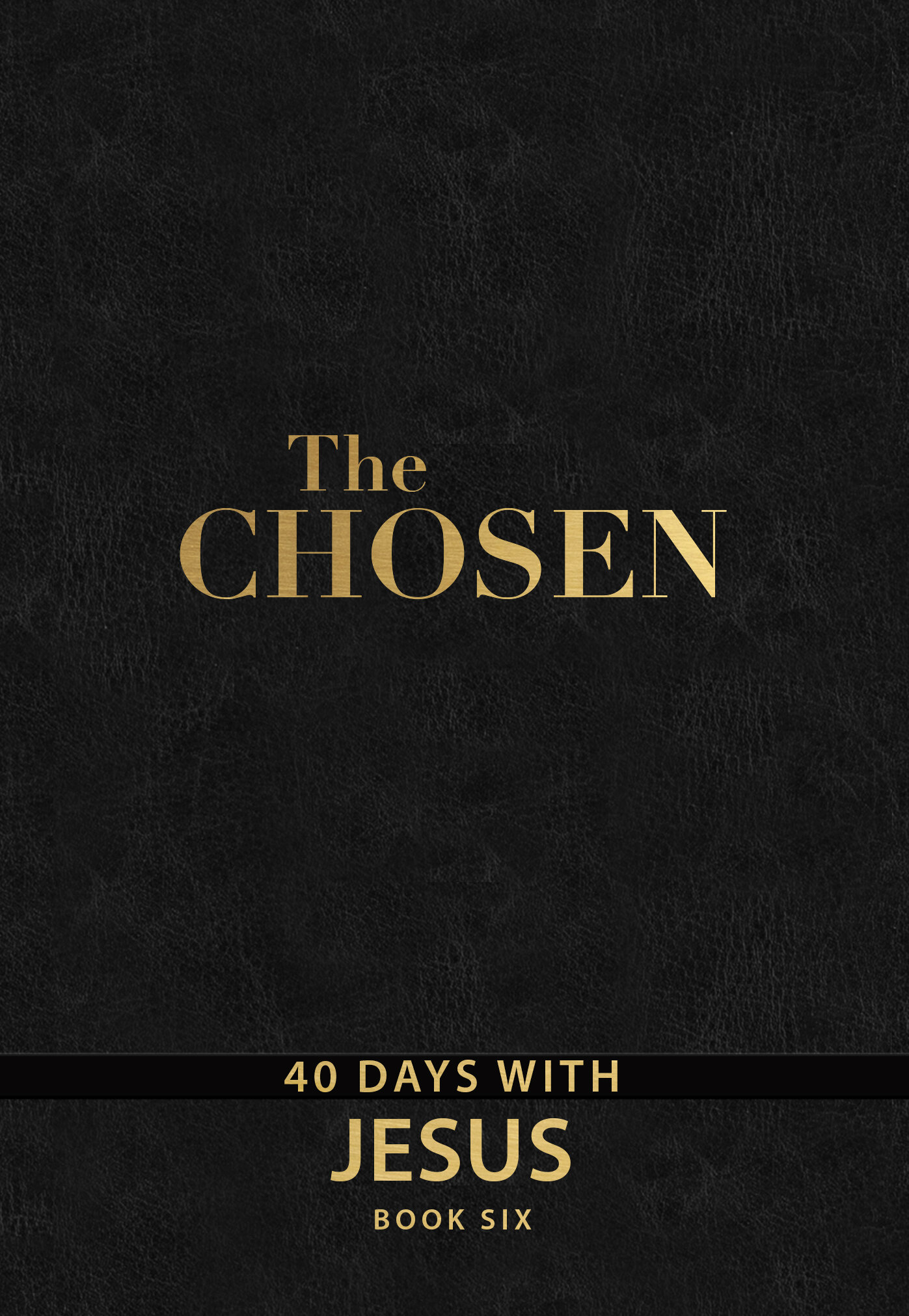 The Chosen Book Six: 40 Days with Jesus