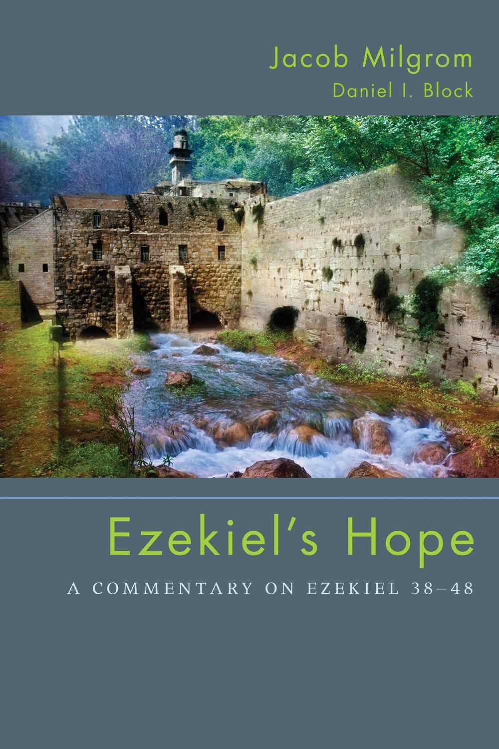 Ezekiel’s Hope: A Commentary on Ezekiel 38–48